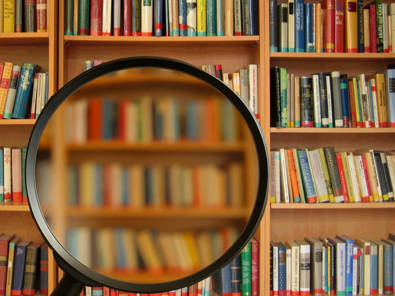 Carta delle Collezioni