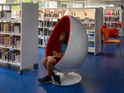 Biblioteca Alberto Geisser: interno