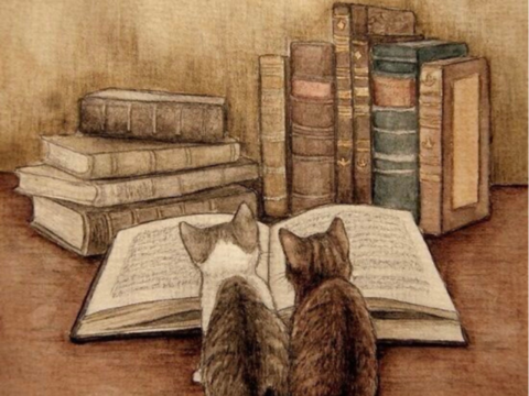 libri sullo sfondo e gatti che leggono