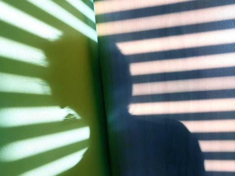 sagoma nera di donna su fondo a righe nere e verdi