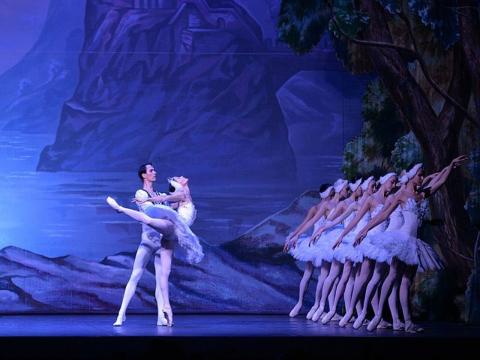 immagine del balletto lago dei cigni