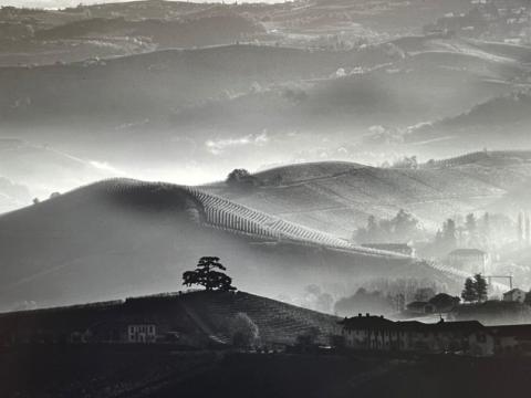 La terra promossa