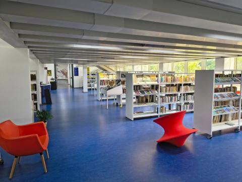 Biblioteca Geisser - Sezione Narrativa