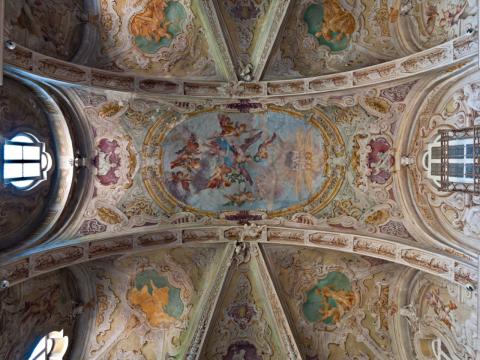 immagine della volta del salone villa tesoriera